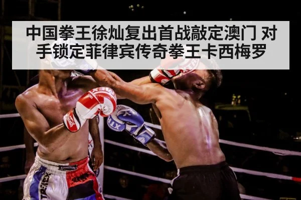 boxer training gloves